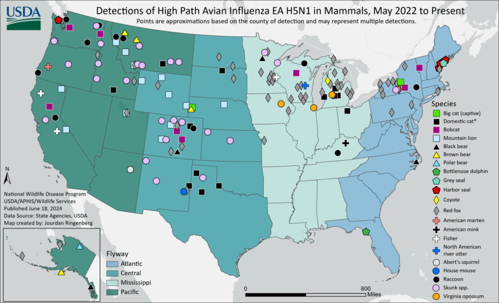 Bird Flu Outbreak Spreads to Mammals In 31 States – BioSynchronicity ...