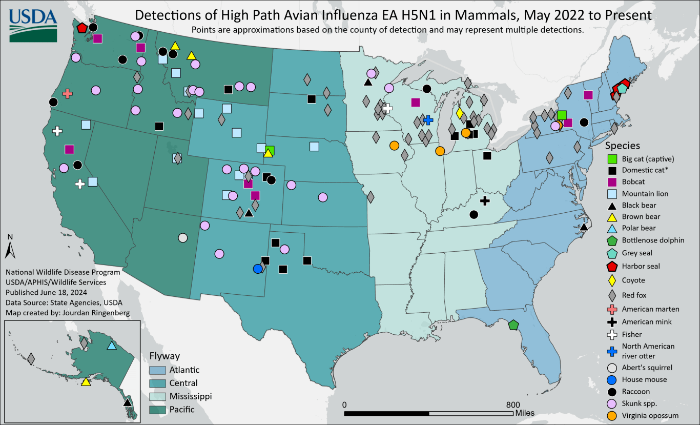 Bird Flu Outbreak Spreads to Mammals In 31 States – BioSynchronicity ...
