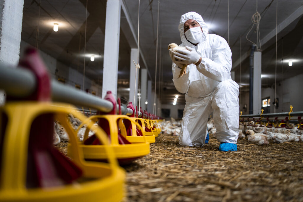 Colorado Reports Three Presumptive Positive H5 Cases in Poultry Workers