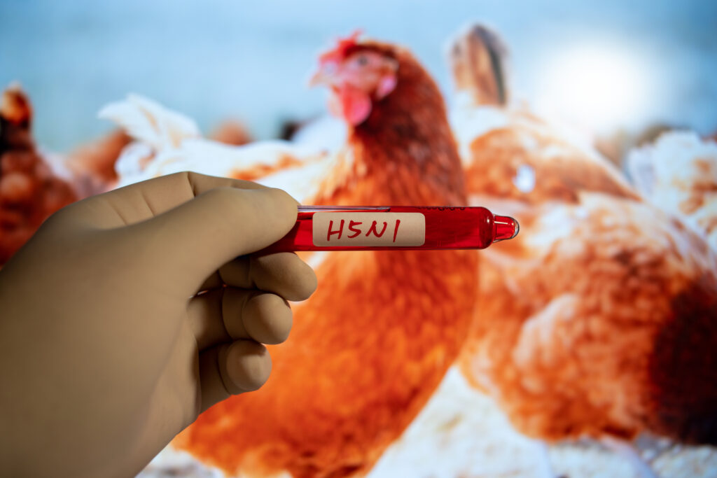 CDC Confirms New Human Cases of H5 Bird Flu Among Colorado Poultry Workers