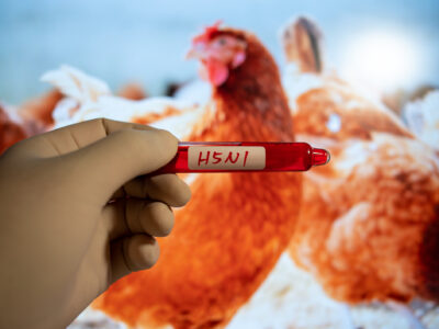 Blood collection tubes H5N1 test positive results,Medical health concept